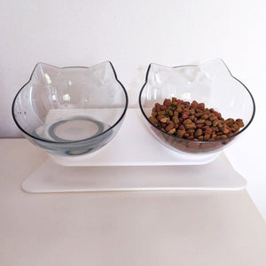 Cat Feeding Bowls