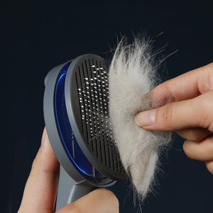 Cat Comb Brush